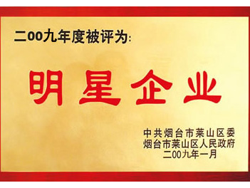 明星企業(yè)
